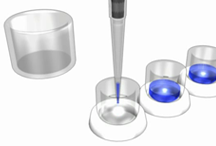 biohit_017