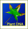 plantdna