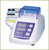 rapid1
