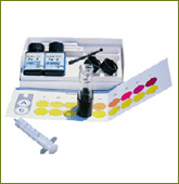 rapid2