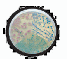news_chromogenic_media-2_01